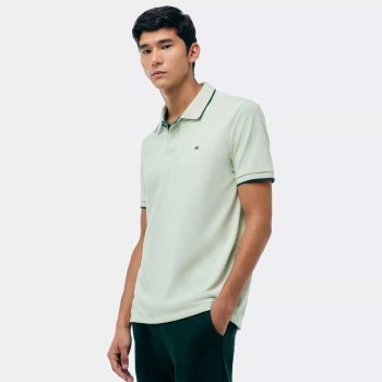 Polo Hering Com Logo. - Verde Claro & Verde Escuro