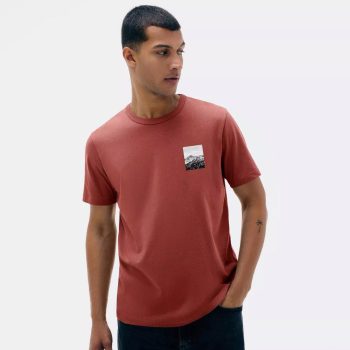 Camiseta Hering Montanhas - Vermelha & Cinza